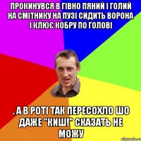 Прокинувся в гівно пяний і голий на смітнику на пузі сидить ворона і клює кобру по голові . а в роті так пересохло шо даже "киш!" сказать не можу