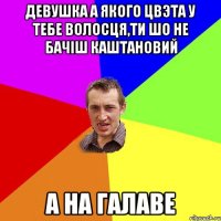 девушка а якого цвэта у тебе волосця,ти шо не бачіш каштановий а на галаве