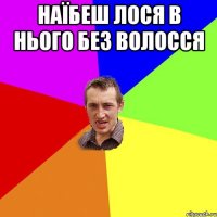 наїбеш лося в нього без волосся 