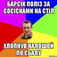 Барсік поліз за сосісками на стіл хлопнув калошой по єбалу