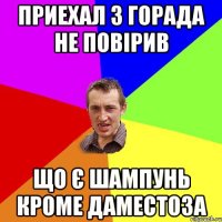 приехал з горада не повірив що є шампунь кроме даместоза