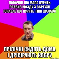 побачив шо мала курить розбив мозду з вєртухи ісказав шо курять тіки шалави ПРІЛІЧНІ СИДЯТЬ ДОМА І ДРІСІРУЮТЬ КОБРУ