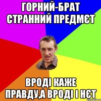 Горний-брат странний предмєт вроді каже правду,а вроді і нєт