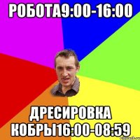 робота9:00-16:00 дресировка кобры16:00-08:59