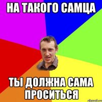 На такого самца Ты должна сама проситься