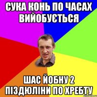 СУКА КОНЬ ПО ЧАСАХ ВИЙОБУЄТЬСЯ ШАС ЙОБНУ 2 ПІЗДЮЛІНИ ПО ХРЕБТУ