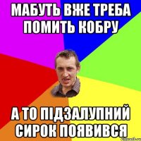 Мабуть вже треба помить кобру а то підзалупний сирок появився