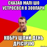 сказав малі шо устроєвся в зоопарк кобру цілий день дрісірую