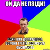 Ой да не пзіди! один вже допиздівся, ворони третій год хреста обсирають