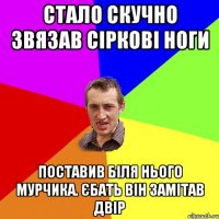 стало скучно звязав сіркові ноги поставив біля нього мурчика. єбать він замітав двір