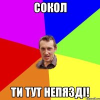 Сокол ти тут непязді!