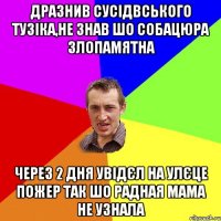 Дразнив сусідвського тузіка,не знав шо собацюра злопамятна Через 2 дня увідєл на улєце пожер так шо радная мама не узнала