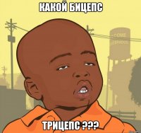 какой бицепс трицепс ???