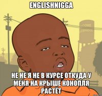 EnglishNigga Не не я не в курсе откуда у меня на крыше конопля растёт