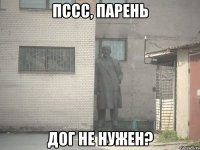 пссс, парень дог не нужен?