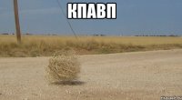 кпавп 