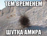 тем временем шутка амира