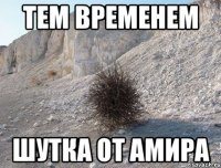 тем временем шутка от амира