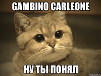 gambino carleone ну ты понял