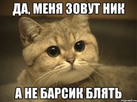 да, меня зовут ник а не барсик блять