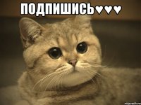 подпишись♥♥♥ 