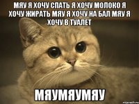 мяу я хочу спать я хочу молоко я хочу жирать мяу я хочу на бал мяу я хочу в туалет мяумяумяу