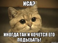 иса? иногда так и хочется его подьебать!