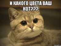 и какого цвета ваш кот??? 