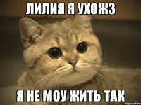 лилия я ухож3 я не моу жить так