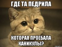 где та педрила которая проебала каникулы?