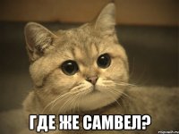  Где же Самвел?