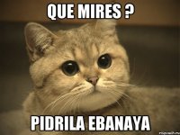 Que mires ? pidrila ebanaya