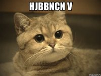 hjbbncn v 