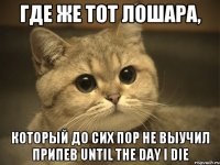 Где же тот лошара, который до сих пор не выучил припев until the day i die