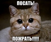 посать! пожрать!!!