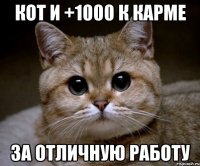 кот и +1000 к карме за отличную работу