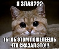 я злая??? ты об этом пожелеешь что сказал это!!!