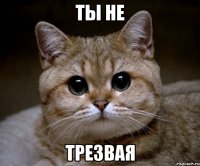 ты не трезвая