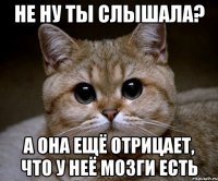 не ну ты слышала? а она ещё отрицает, что у неё мозги есть