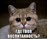  где твоя воспитанность?