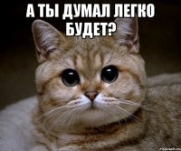 а ты думал легко будет? 