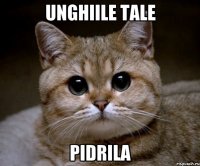 unghiile tale pidrila