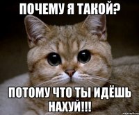 почему я такой? потому что ты идёшь нахуй!!!