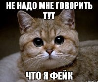 не надо мне говорить тут что я фейк