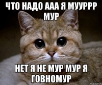 что нaдо aaa я мууррр мур нет я не мур мур я говномур