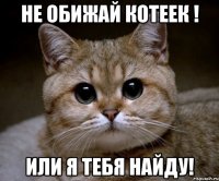 не обижай котеек ! или я тебя найду!