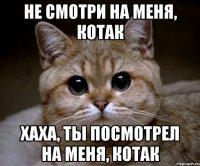 не смотри на меня, котак хаха, ты посмотрел на меня, котак