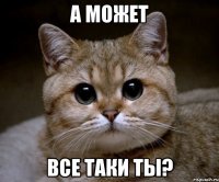 а может все таки ты?