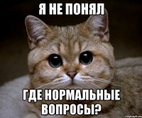 я не понял где нормальные вопросы?