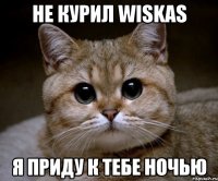 не курил wiskas я приду к тебе ночью